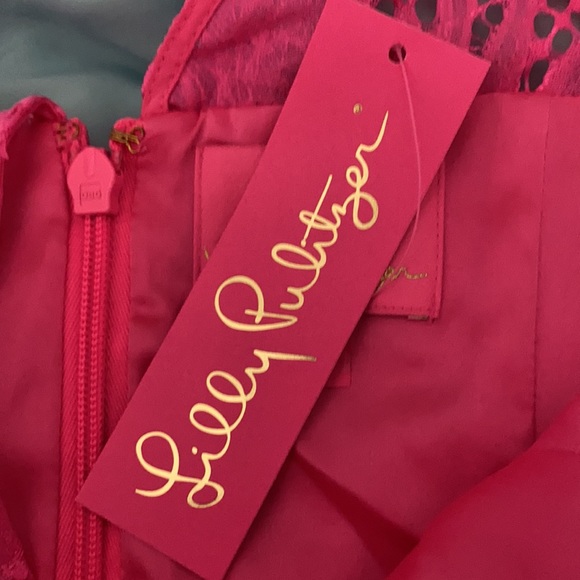 Lilly Pulitzer Allyson Pink Lace Dress - 6 - Picture 8 of 13